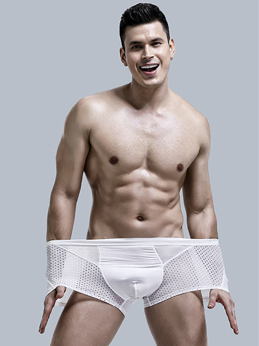 Men's Thin Breathable Mesh Trunks