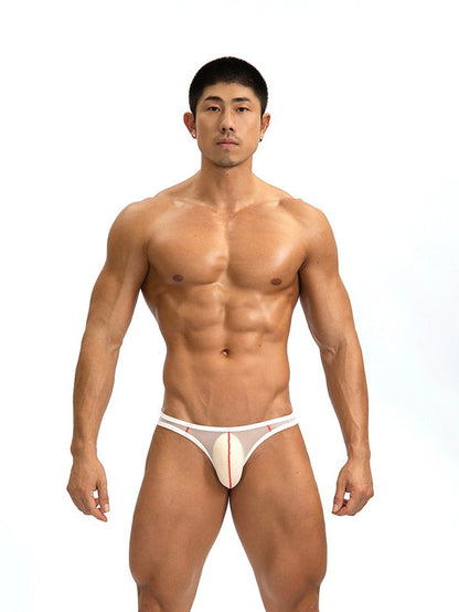 2 Pack Men's See-through Mesh Bikini