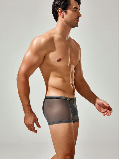 Men's Sexy Low-rise Mesh Trunks