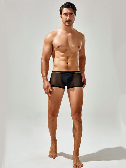 Men's Sexy Low-rise Mesh Trunks