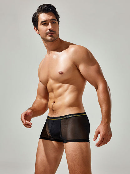 Men's Sexy Low-rise Mesh Trunks