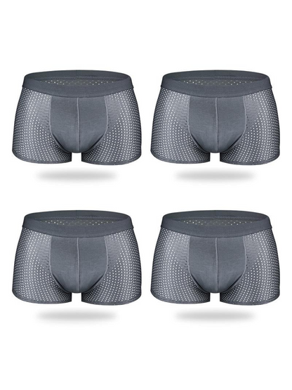 4 Pack Mesh Breathable Ice Silk Underwear Boxer