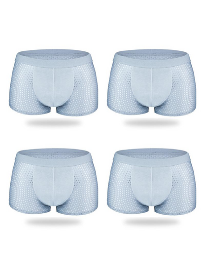 4 Pack Mesh Breathable Ice Silk Underwear Boxer