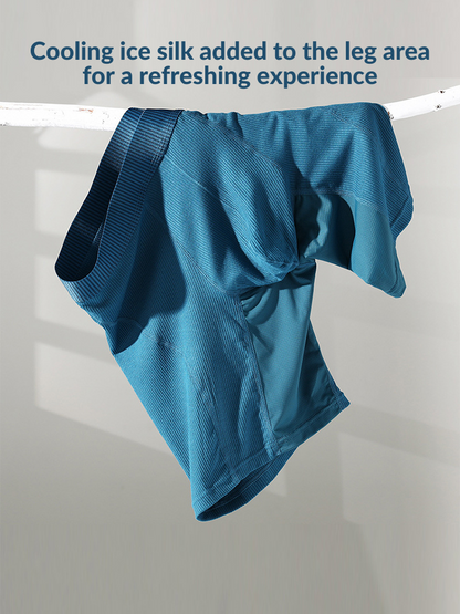 2 Pack Men's Casual Ice Silk Midway Briefs