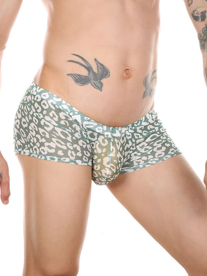 Leopard Print See-through Mesh Trunks