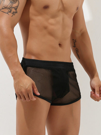 Men's Sexy See Through Mesh Boxer Shorts