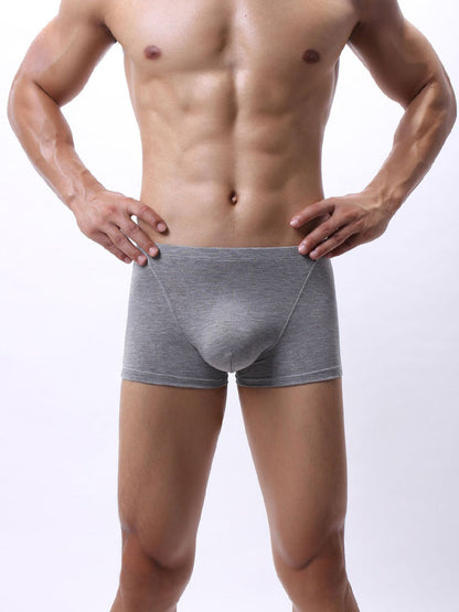 Men's Bamboo Fiber U-pouch Boxer Briefs