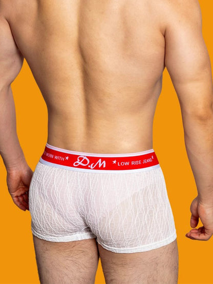 3 Pack Men's Lace Mesh Quick-Drying Breathable Solid Color Trunks
