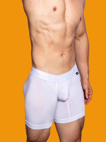 2 Pack Men's Trendy Breathable Ice Silk Boxer Briefs