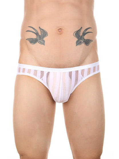 3 Pack Men's Sexy Striped Sheer Mesh Bikini