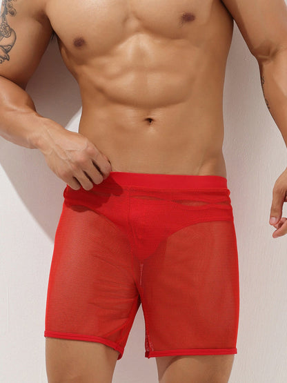 Men's Sexy See Through Mesh Boxer Shorts