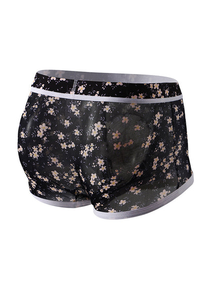2-pack Men's Mesh Elephant Nose Transparent Boxer Briefs