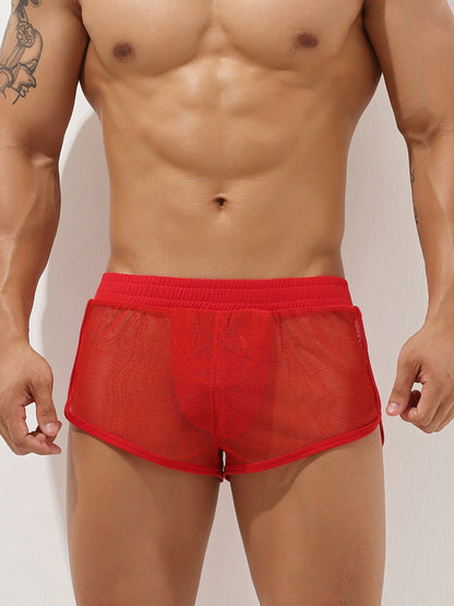Men's Sexy See Through Mesh Boxer Shorts