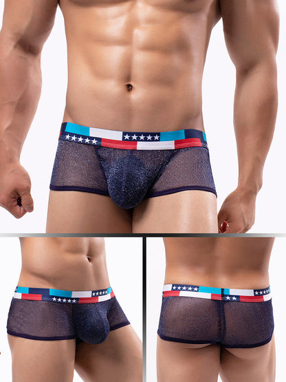 4-pack Men's Low-rise See-through Micro-mesh Pouch Shiny U-convex Wide-edge Boxer Briefs