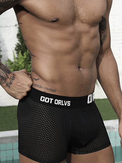 2 Pack Men's Sexy Transparent Seamless Mesh Solid Color Breathable Trunks & Bikini
