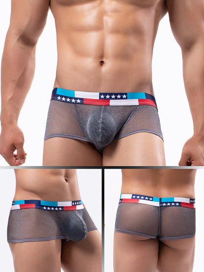 4-pack Men's Low-rise See-through Micro-mesh Pouch Shiny U-convex Wide-edge Boxer Briefs