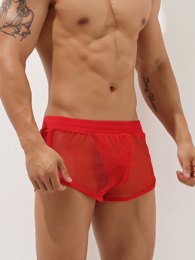 Men's Sexy See Through Mesh Boxer Shorts