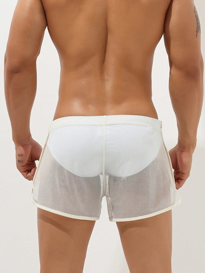 Men's Sexy See Through Mesh Boxer Shorts