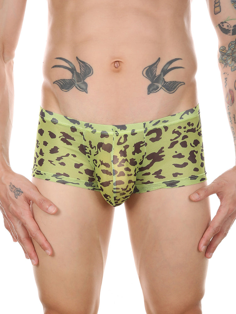 Leopard Print See-through Mesh Trunks