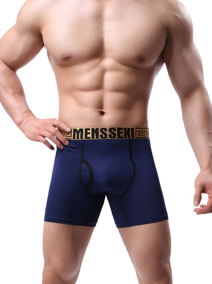 2 Pack Men's Sexy Sports Ice Silk Boxer Briefs