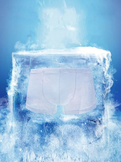 Thin Breathable Ice Silk U Convex Boxers for Men