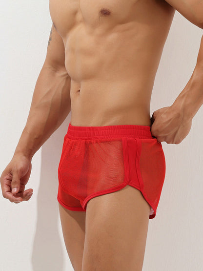 Men's Sexy See Through Mesh Boxer Shorts