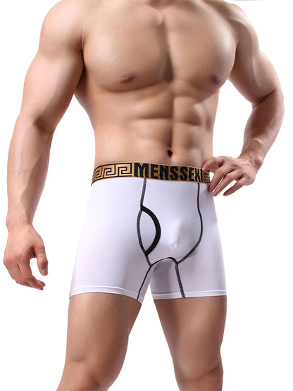 2 Pack Men's Sexy Sports Ice Silk Boxer Briefs