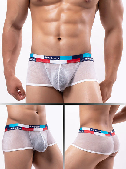 4-pack Men's Low-rise See-through Micro-mesh Pouch Shiny U-convex Wide-edge Boxer Briefs