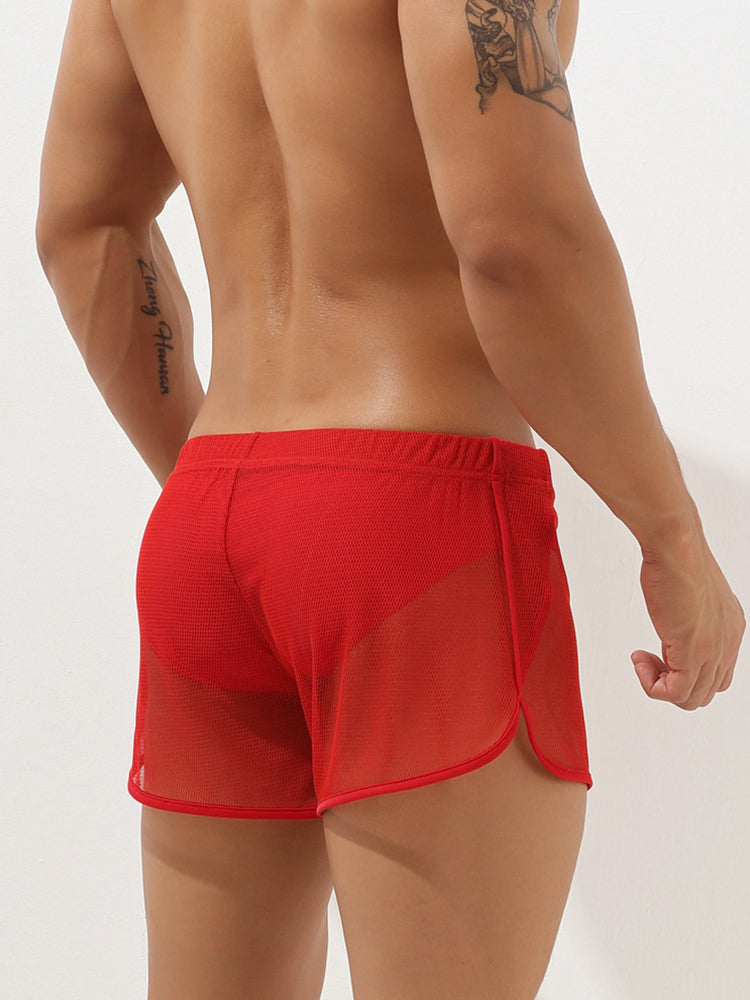 Men's Sexy See Through Mesh Boxer Shorts