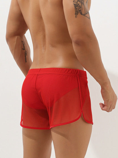 Men's Sexy See Through Mesh Boxer Shorts