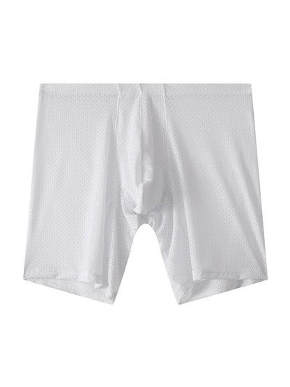 2 Pack Men's Mesh Transparent Sports Fitness Loose Boxer Briefs