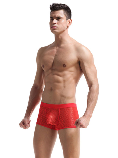 2 Pack Men's Sexy Transparent Mesh Trunks