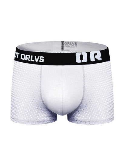 2 Pack Men's Sexy Transparent Seamless Mesh Solid Color Breathable Trunks & Bikini