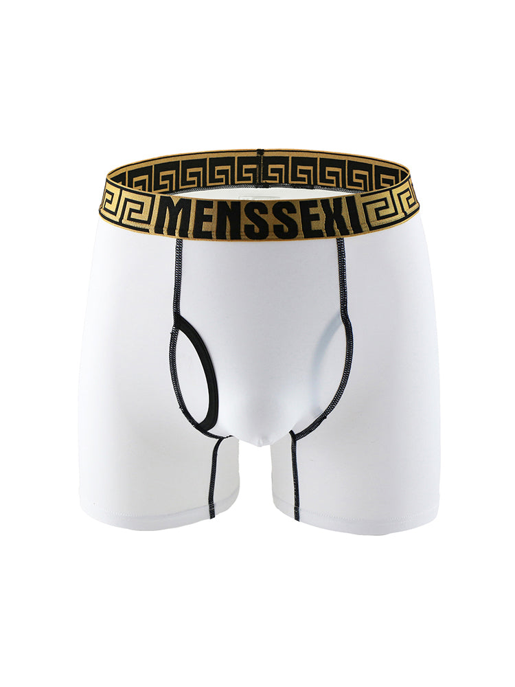 2 Pack Men's Sexy Sports Ice Silk Boxer Briefs