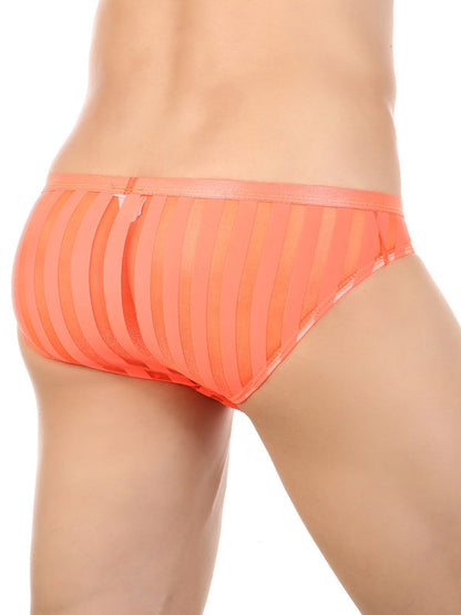 3 Pack Men's Sexy Striped Sheer Mesh Bikini