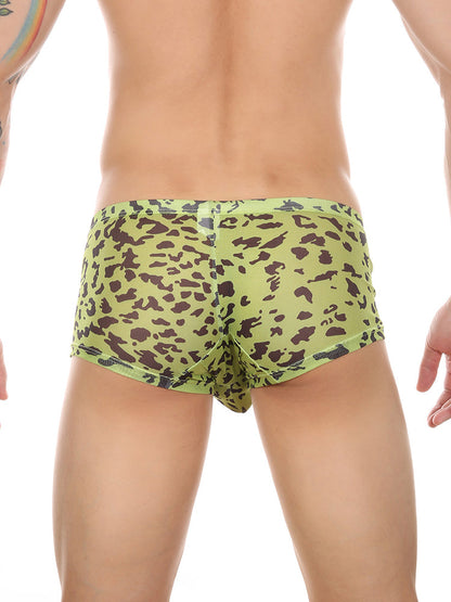 Leopard Print See-through Mesh Trunks