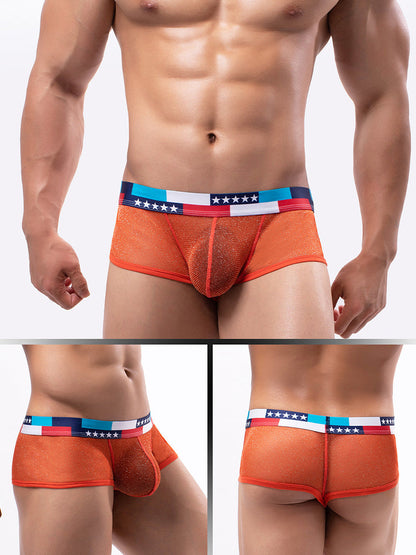 4-pack Men's Low-rise See-through Micro-mesh Pouch Shiny U-convex Wide-edge Boxer Briefs
