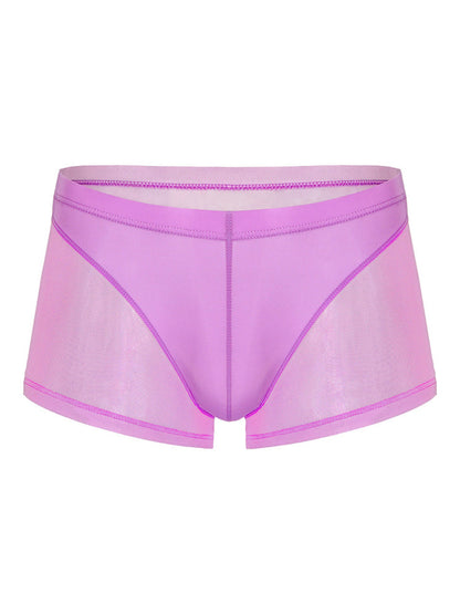 Sexy Panelled Mesh Trunks For Men