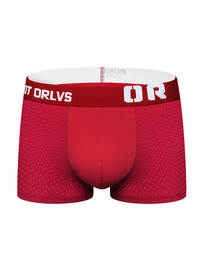 2 Pack Men's Sexy Transparent Seamless Mesh Solid Color Breathable Trunks & Bikini