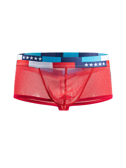 4-pack Men's Low-rise See-through Micro-mesh Pouch Shiny U-convex Wide-edge Boxer Briefs