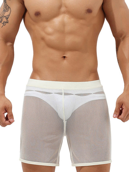Men's Sexy See Through Mesh Boxer Shorts