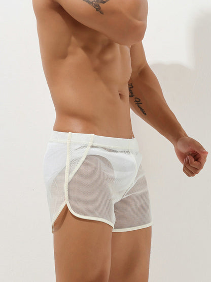 Men's Sexy See Through Mesh Boxer Shorts