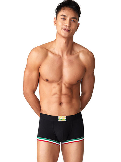 2 Pack Men's Low-Rise Cotton Boxer Briefs