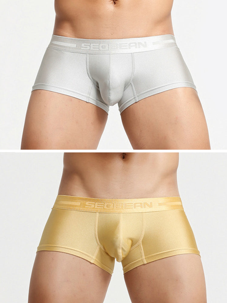 2 Pack Men's Lustrous Metallic Trunks