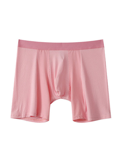 2 Pack Men's Anti-friction Sports Long Nylon Mesh Briefs