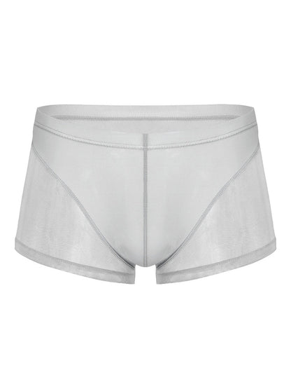 Sexy Panelled Mesh Trunks For Men