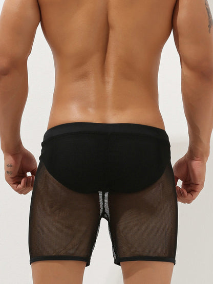 Men's Sexy See Through Mesh Boxer Shorts