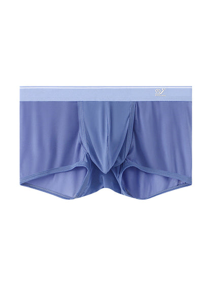 2 Pack Men's Breathable Mesh Trunks with Fly