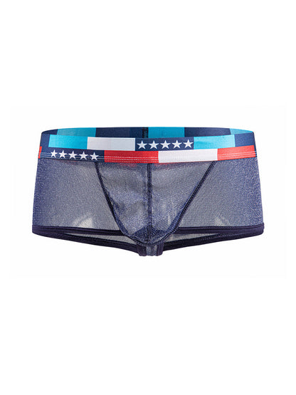 4-pack Men's Low-rise See-through Micro-mesh Pouch Shiny U-convex Wide-edge Boxer Briefs