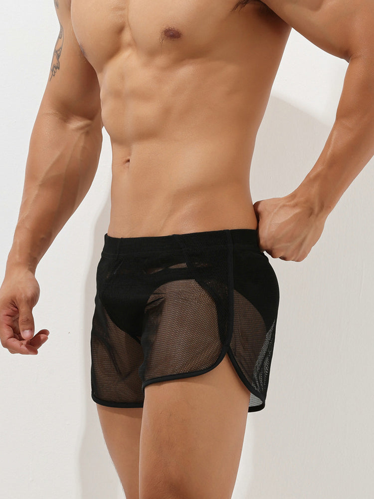 Men's Sexy See Through Mesh Boxer Shorts